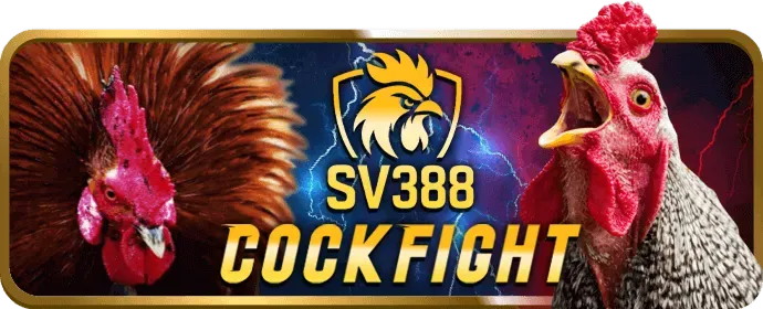 Hỗ trợ khách hàng 24/7 của sh88 win